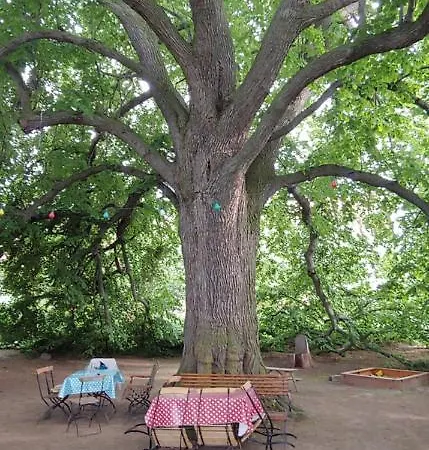 度假居 Triasland *