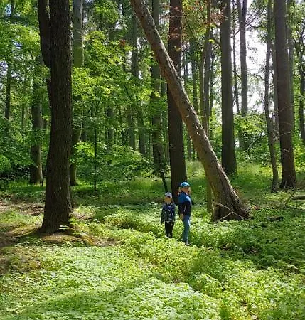 Ferienhaus Triasland *