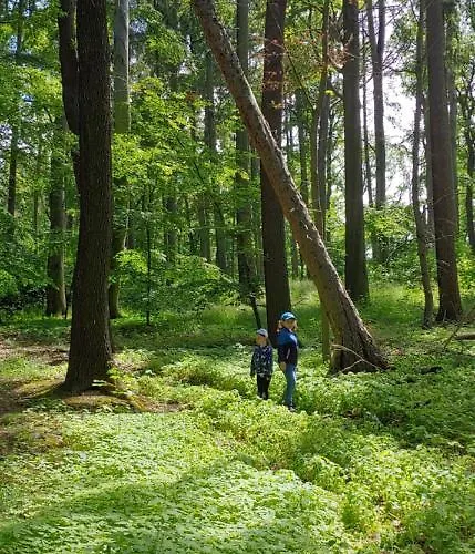 Tatil Evi Triasland *